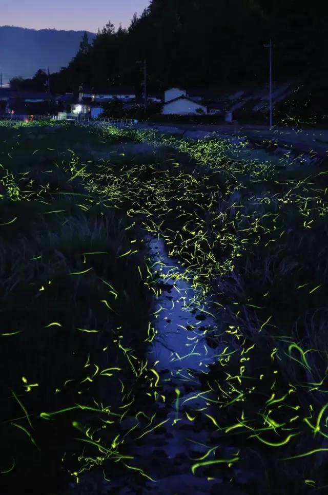 外星人坠落