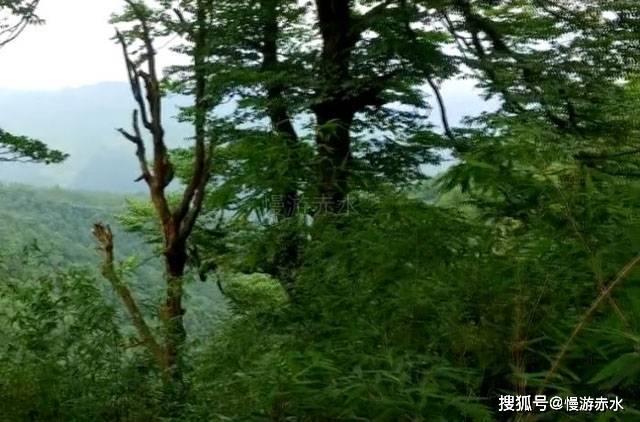 色度室逃生