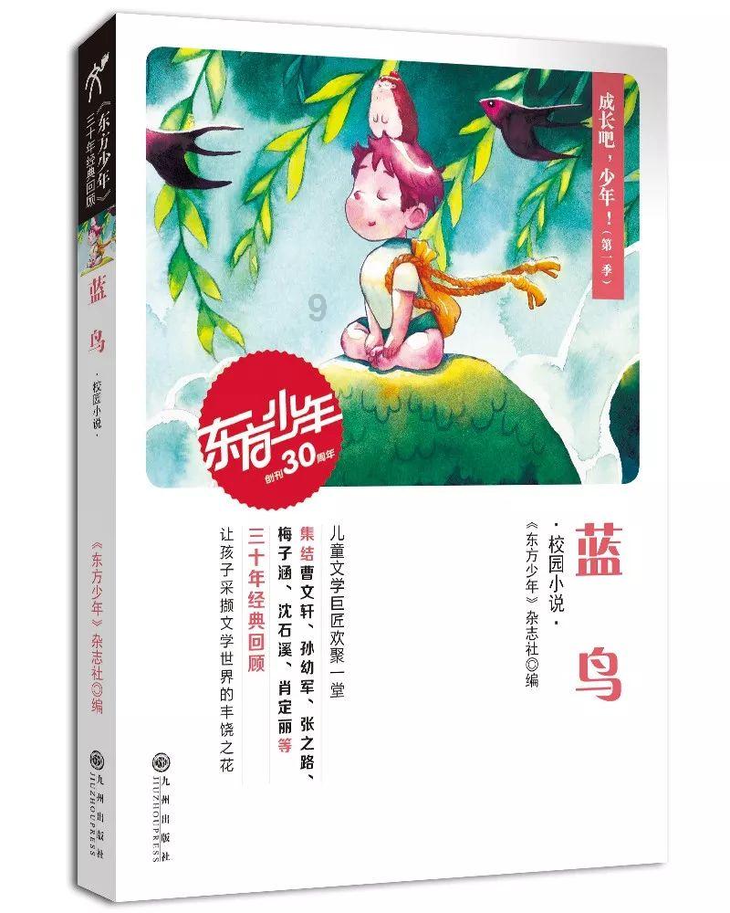 植物大战僵尸12