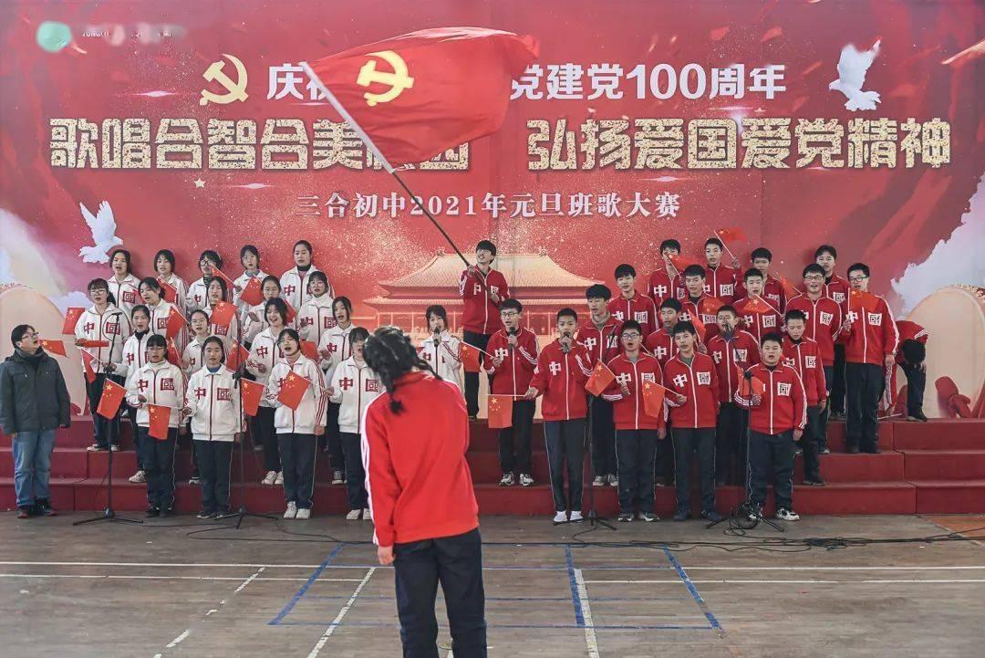 探索奇闻异事,尽在海龟中体型最大的海龟是什么冷知识分享平台