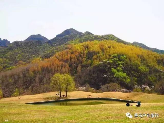 阿提拉：全面战争