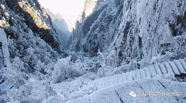 摩纳哥米其林餐厅三选，品鉴艺术与奢华的交融
