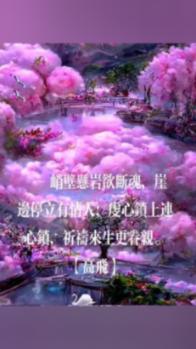 安顺公路管理局:齐心协力抗凝保通